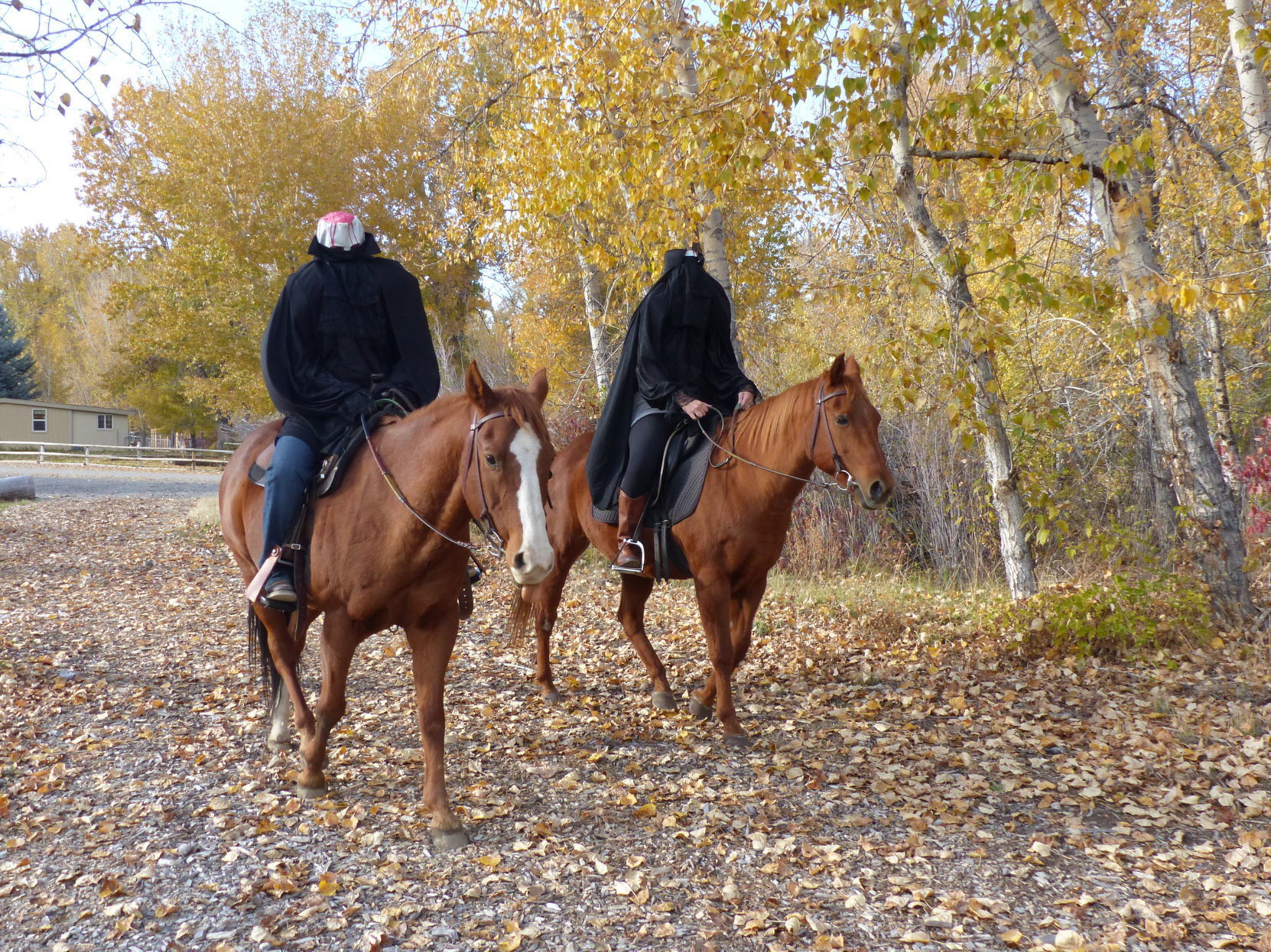 Halloween in Wood River Valley-2